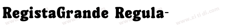 RegistaGrande Regula字体转换